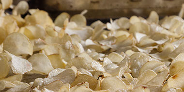 Neubau Spital Schiers